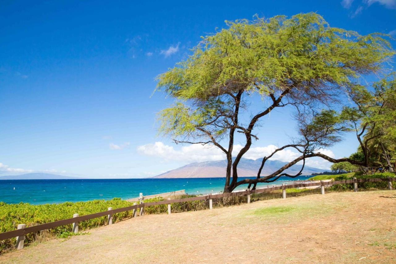 Hale Kamaole 241 Villa Wailea  Eksteriør billede